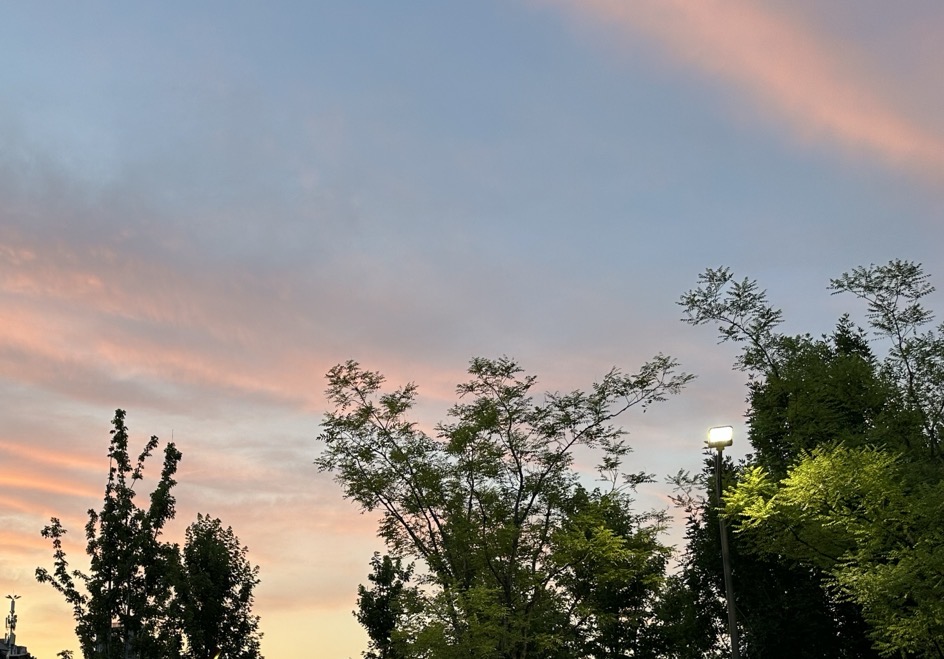 高效协同,让质量部门从“绊脚石”变成“催化剂”