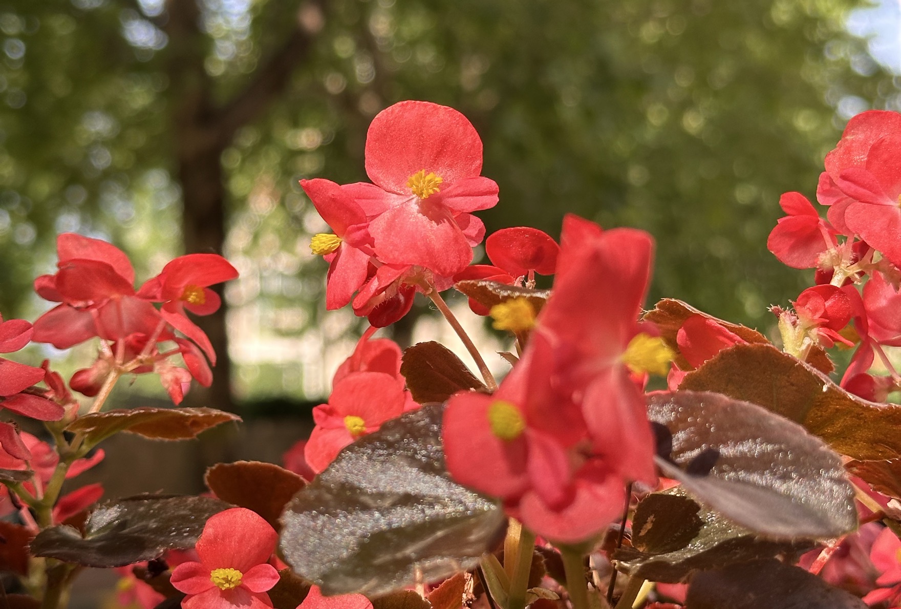 测试团队转型的“道·法·术·器”