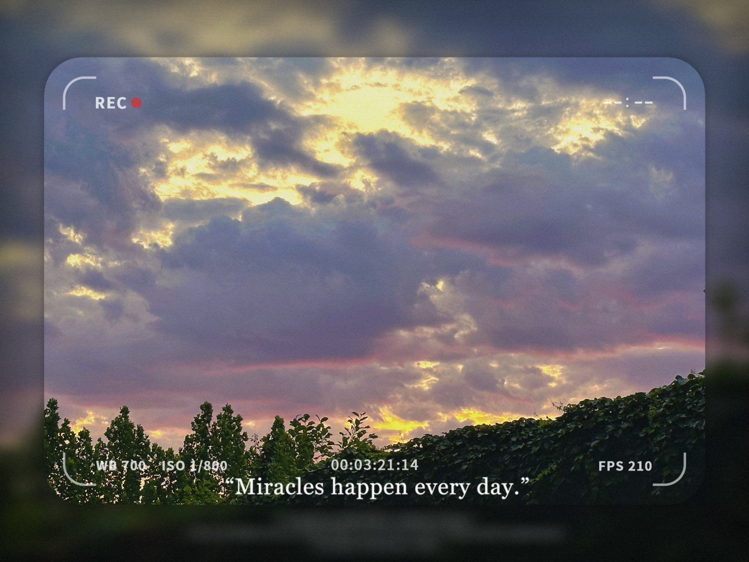 警惕度量指标陷阱