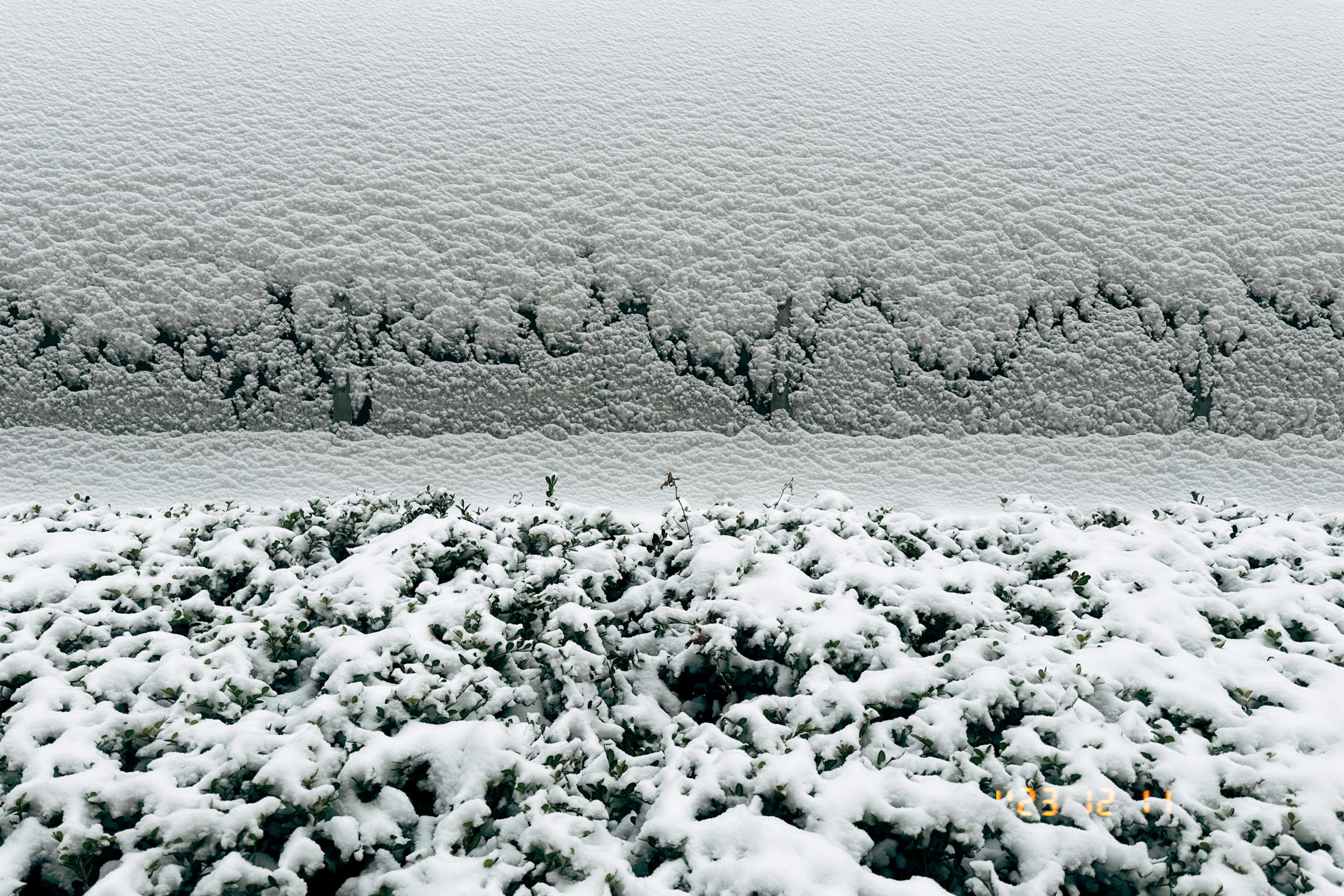 质量免费吗？Is Quality Free?